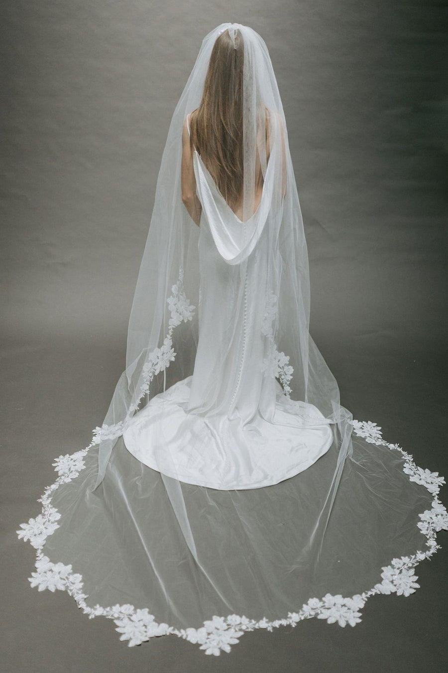 Alexandria Veil