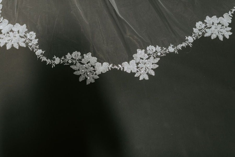 Alexandria Veil