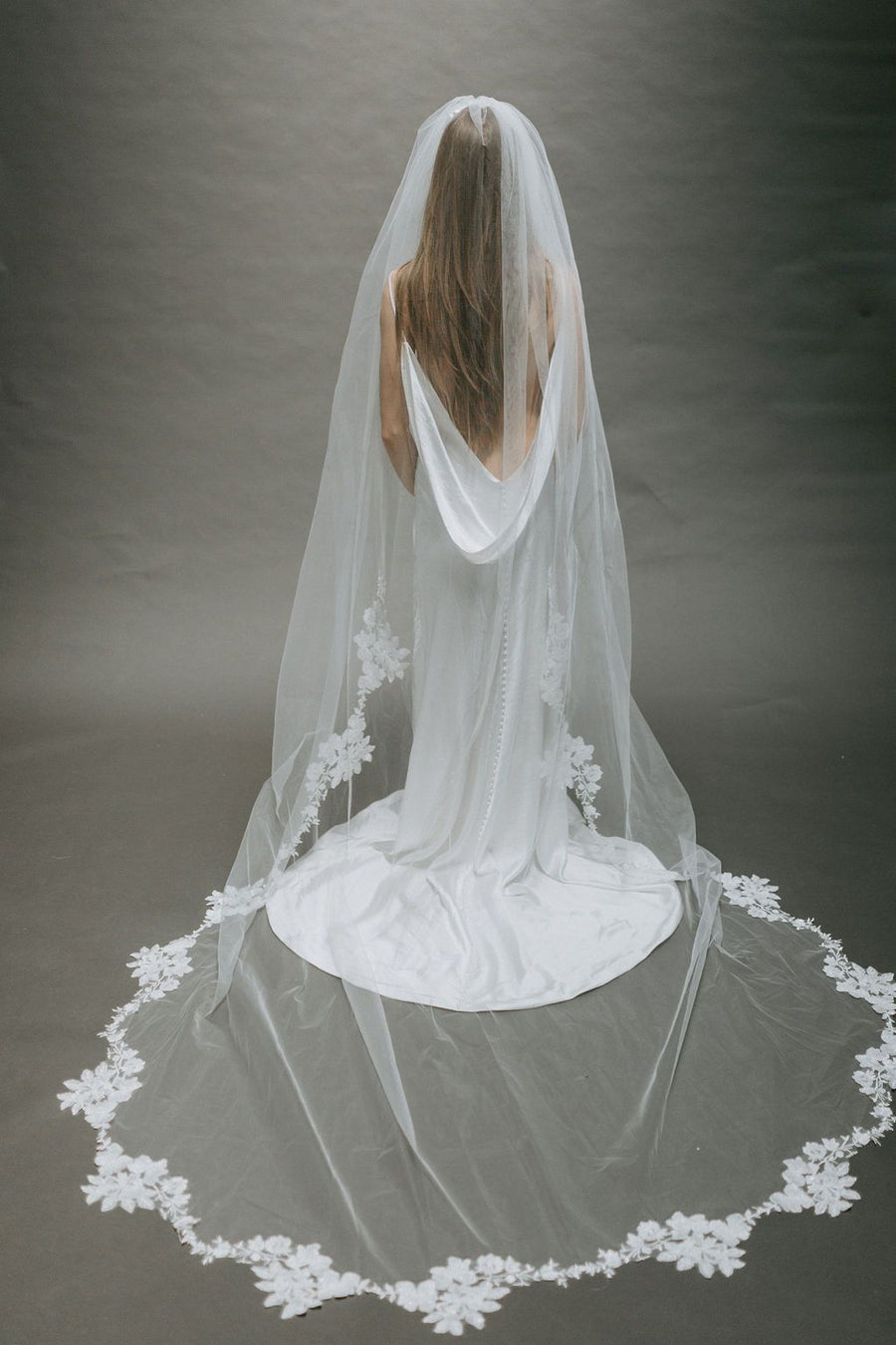 Alexandria Veil
