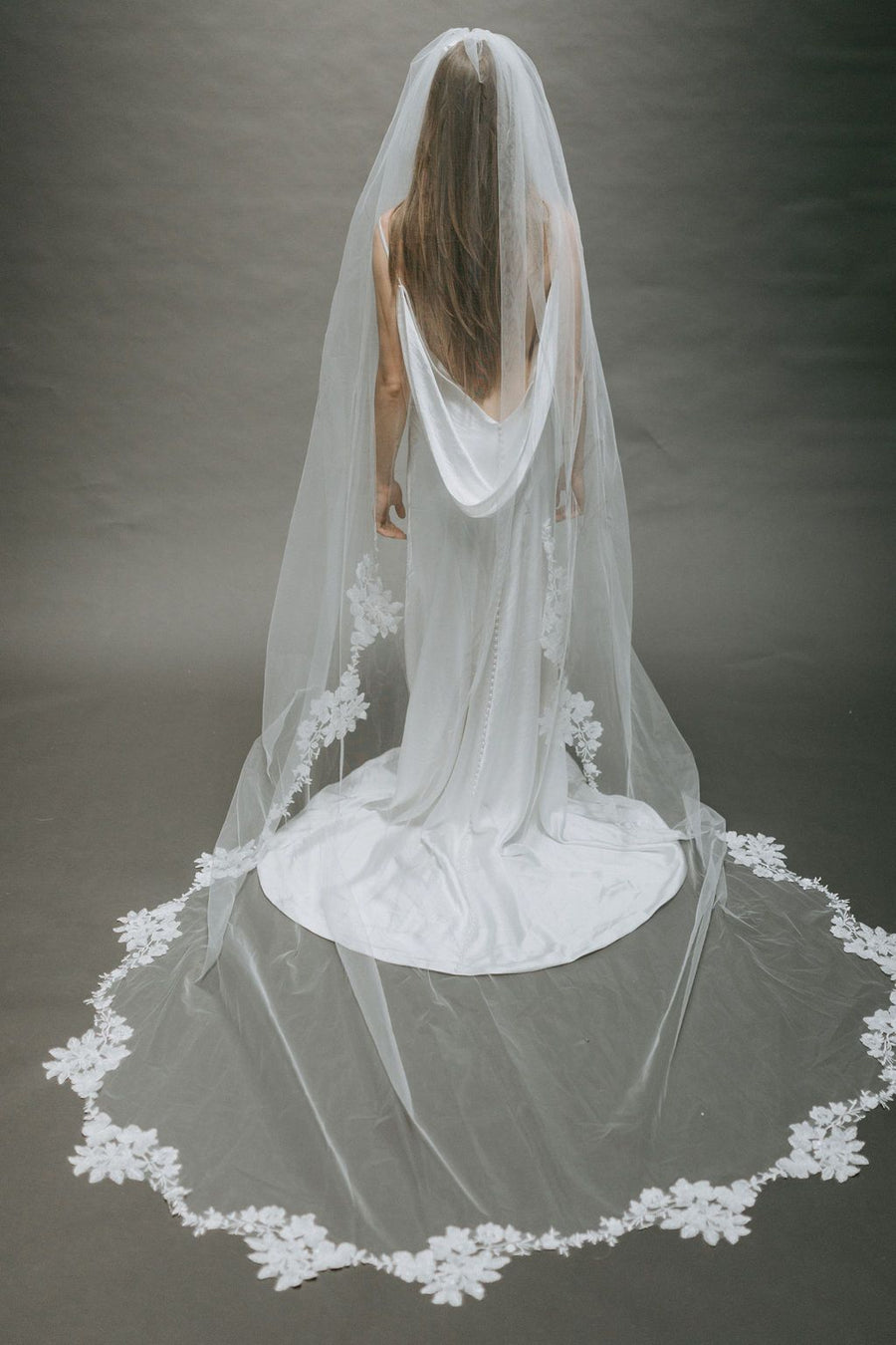 Alexandria Veil