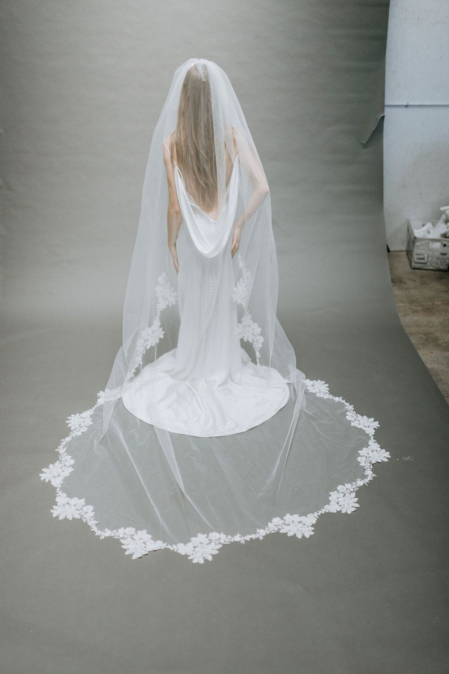 Alexandria Veil
