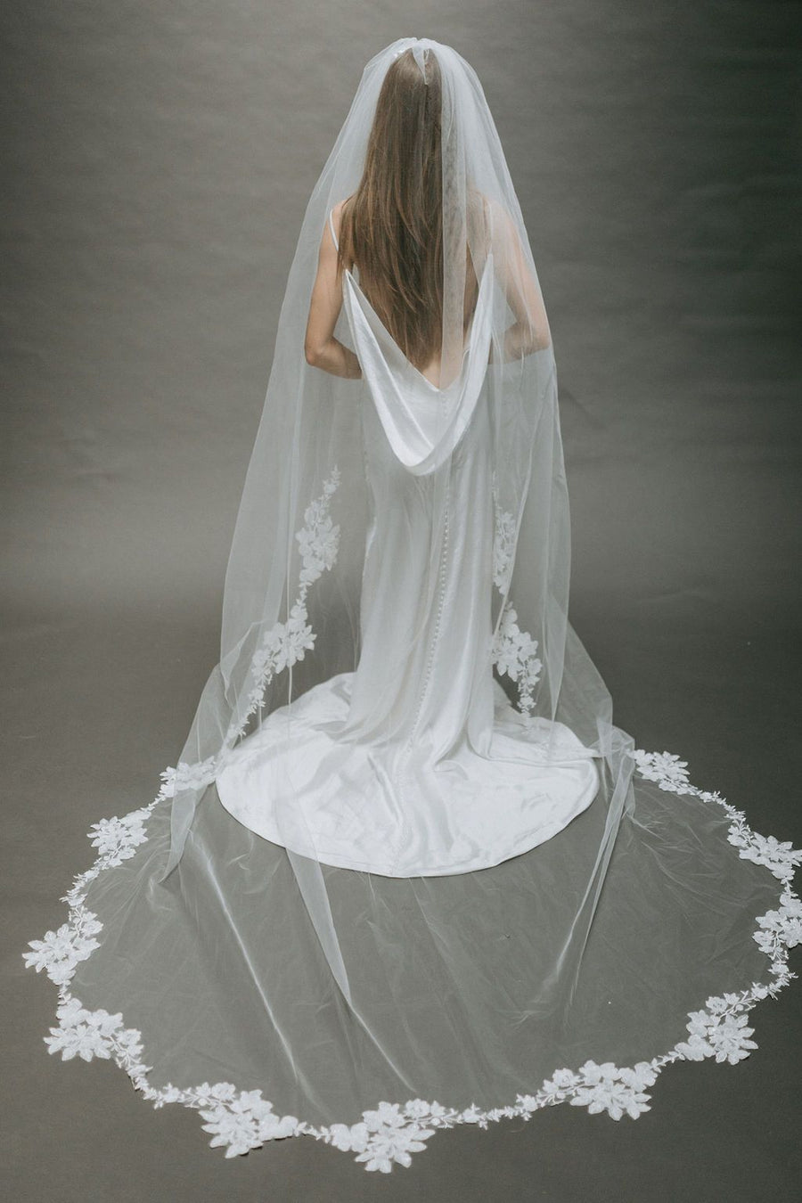 Alexandria Veil